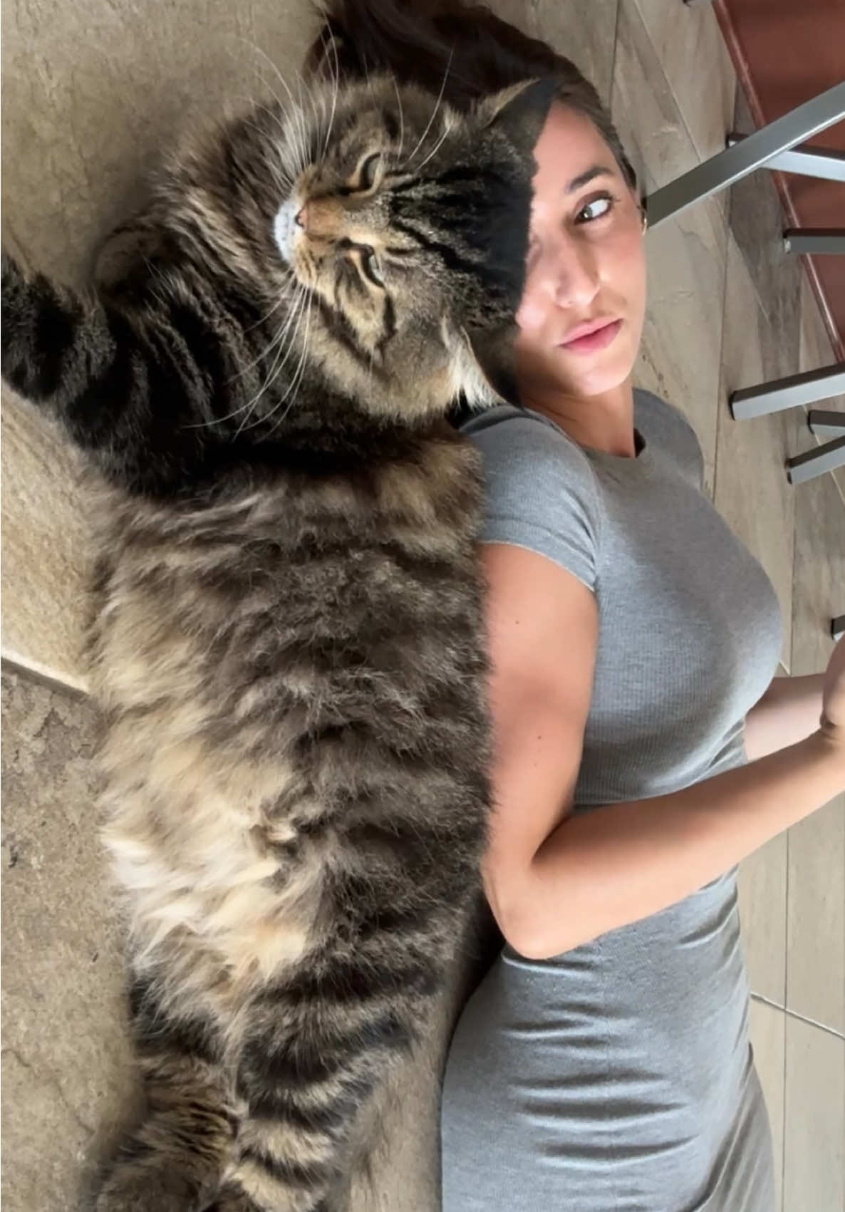 Do you think I’m bothering him? #cats #therapy #trend #fyp 