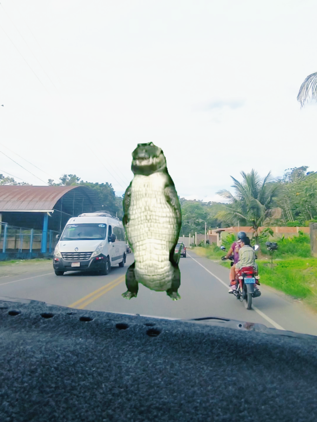 mi selva 🫶🐍 #mazuko❤️🌴  #madrededios  #selvaperuana #naturaleza  #viralvideos 