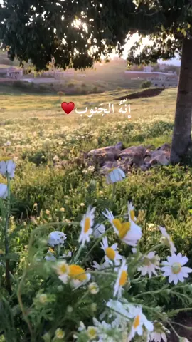 ♥️..#fyp #جنوب_لبنان🇱🇧 #lebanon 