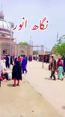 #درگاھ انور سائن جھانپور شريف ❤️❤️❤️🤩🤩🤩🤩♥️♥️♥️🙏🙏🙏#viralvideo #foryoupage #شنگت_ویڈیو_ویئرل_کرسوں_آپ_ہین💔🥀⚡ @@Sana naz @Thar Production @اعوان پھلوان ٹائیگرآف گھوٹکی @✌️گھوٽڪي جا بادشاه💖 @𝐴𝑦𝑎𝑡𝑠𝑙𝑖𝑓𝑒🖤 @♥️Are😘 baloch 💋 @mushraf khan61 @Mukhtiar Malik @💥╾━╤Waghoデ╦︻✌️ @GHOTKI queen #100kviews 