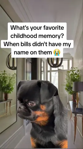 #money #memestiktok #relatable #funnytiktok #memeoftheday 