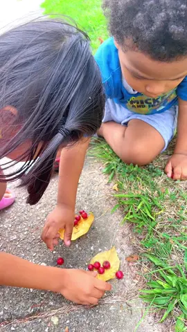 #creatorsearchinsights #@Dil Rai115 @Shontarrio Yarborough @Magar Dil @Moti Rai 