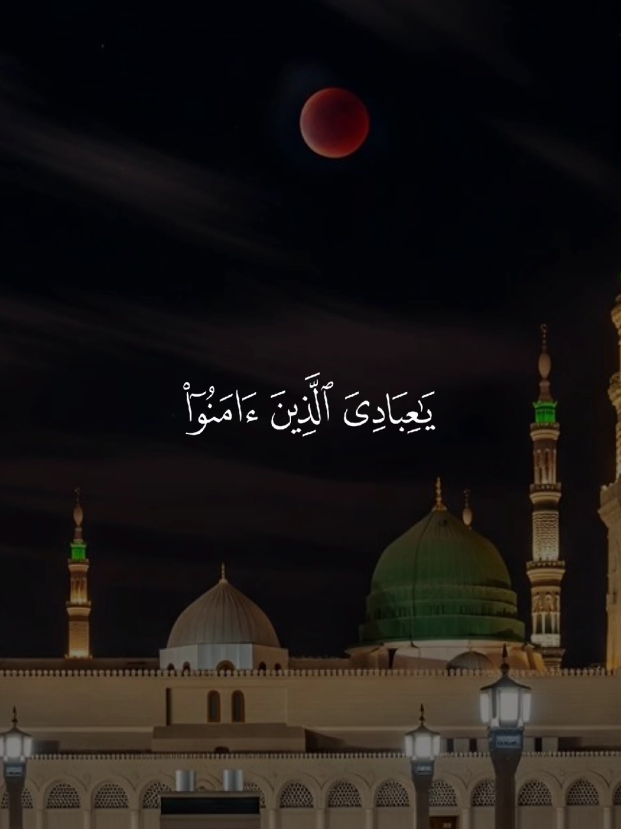 #قران #quran #قران_كريم #quran_alkarim #القران_الكريم 