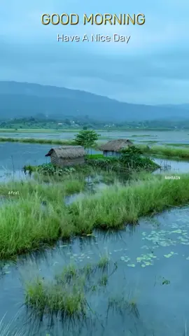 🌾 “പുലരിപ്പൂ പോലെ ചിരികളും, പുഞ്ചപ്പാടക്കാറ്റു വിതച്ച സന്തോഷവും, ഇന്നത്തെ രാവിലെയെ നിറയ്ക്കട്ടെ… ഓരോ ദിവസവും പുതിയൊരു പ്രതീക്ഷയായി വിരിയട്ടെ… സുന്ദരമായൊരു ദിനം ആശംസിക്കുന്നു! 🌞 Good Morning!” 🌸 #pularipoopolechirichum #GoodMorning #morningvibes #malayalamsong #kerala 