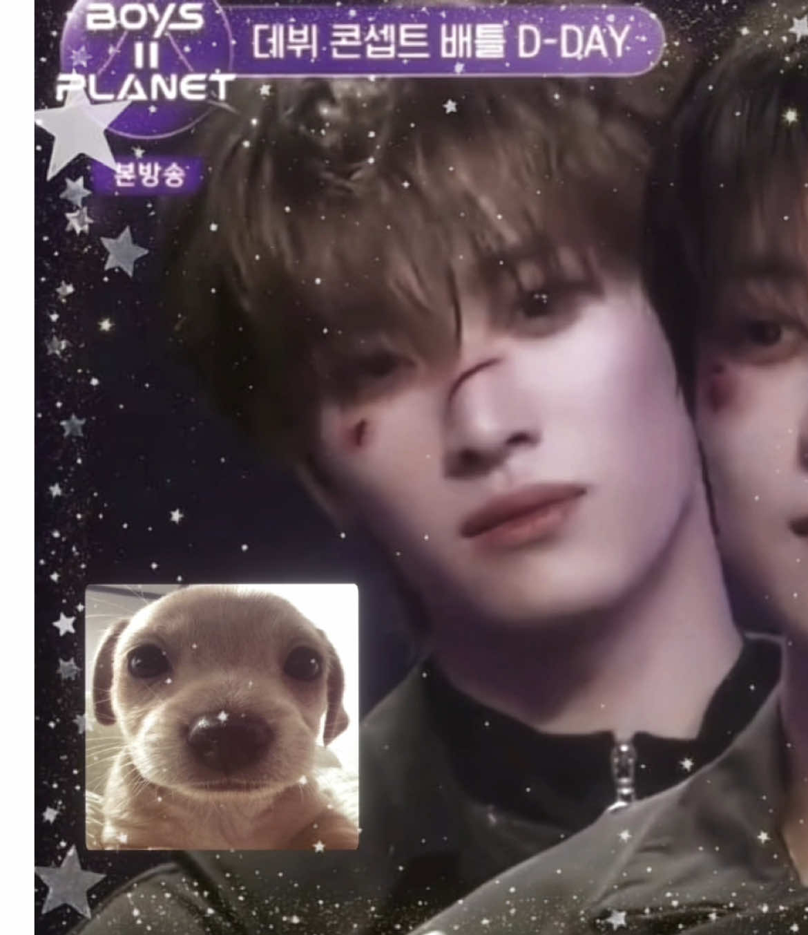 #CHENKAIWEN || please save this puppy from education vote him 😢 #chenkaiwenedit #boys2planet #boys2planetedit #천카이원 