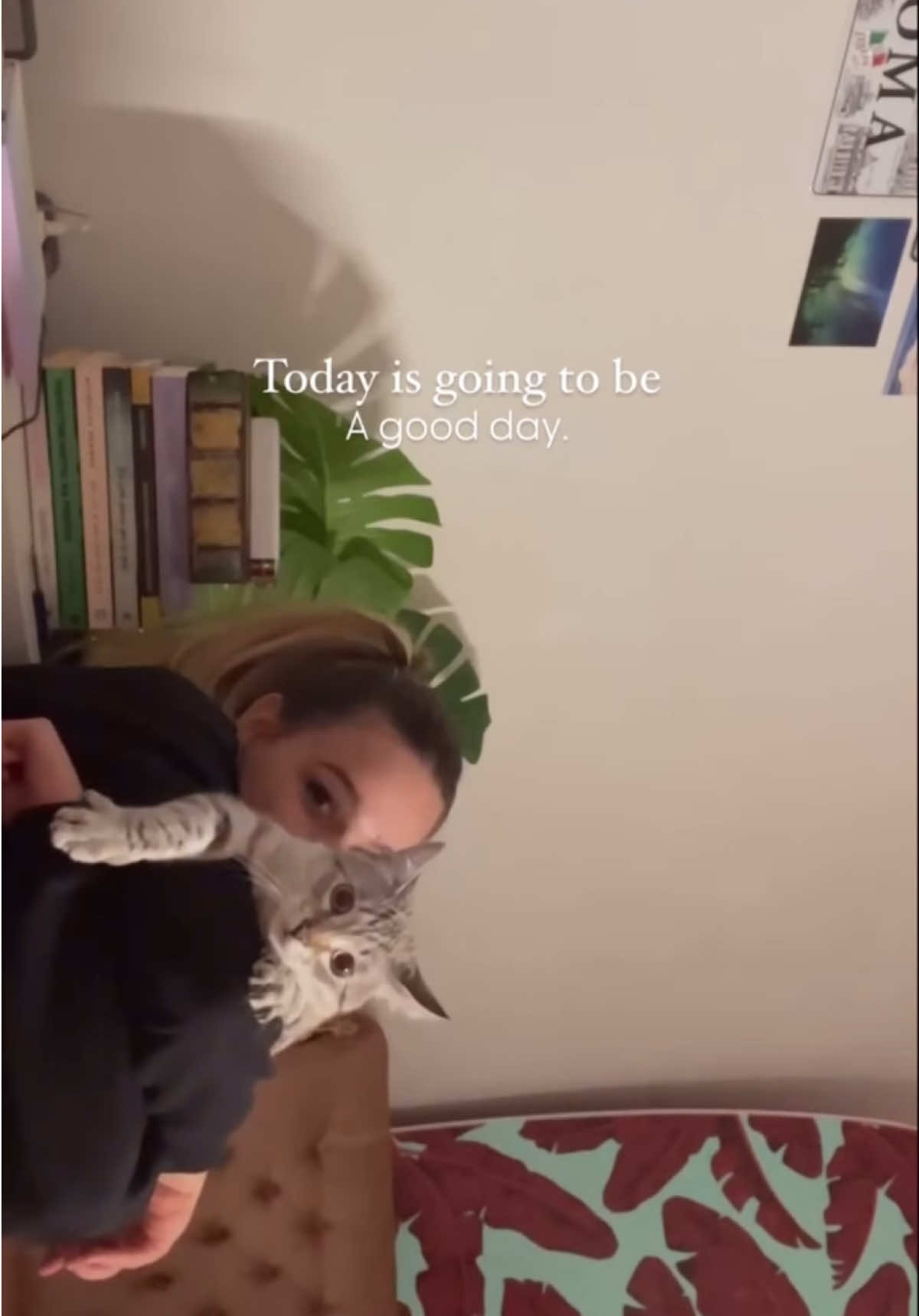 Positivity attracts positivity  #lawofattraction #mindset #positivity #cats 