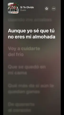 Si te olvido #grupoduelo #musicaletras🎶 #fouryoupage #fyp #musicaperrona 