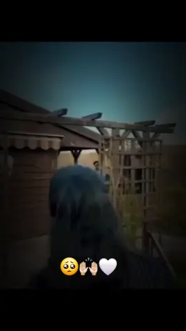 #🥺🫣🙌🏻🦋🤍