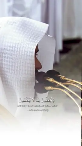 Sheikh Abdullah Quraafi Surah Nahl Ramadan night 19 1445 #الشيخ_عبدالله_قرافي #تلاوة_خاشعة #رمضان1445 #تراويح #تلاوة_قرآن 