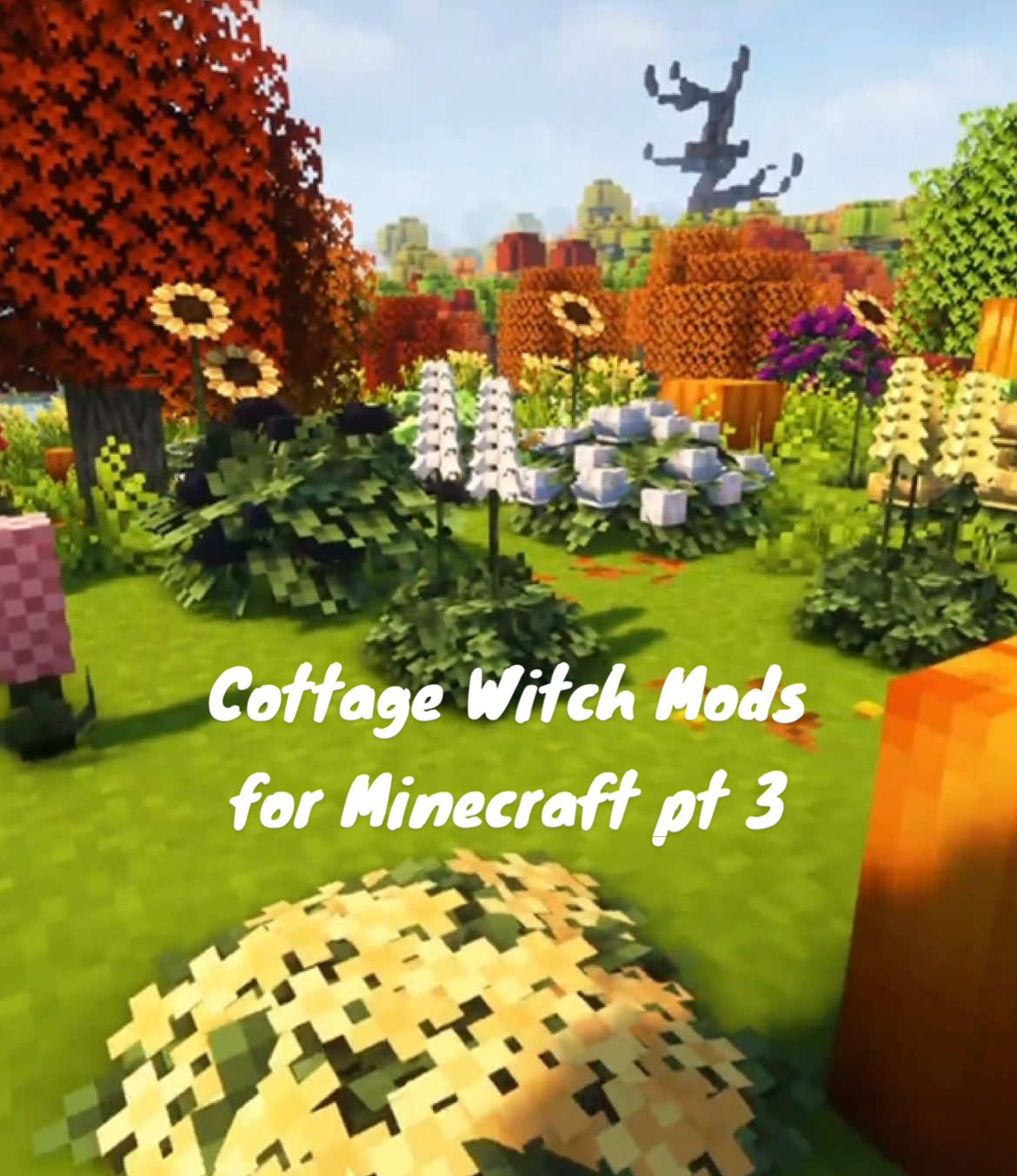 A must get for a cottage witch playthrough!! #Minecraft #cozygaming #mod #cottagewitch #cottagecore 