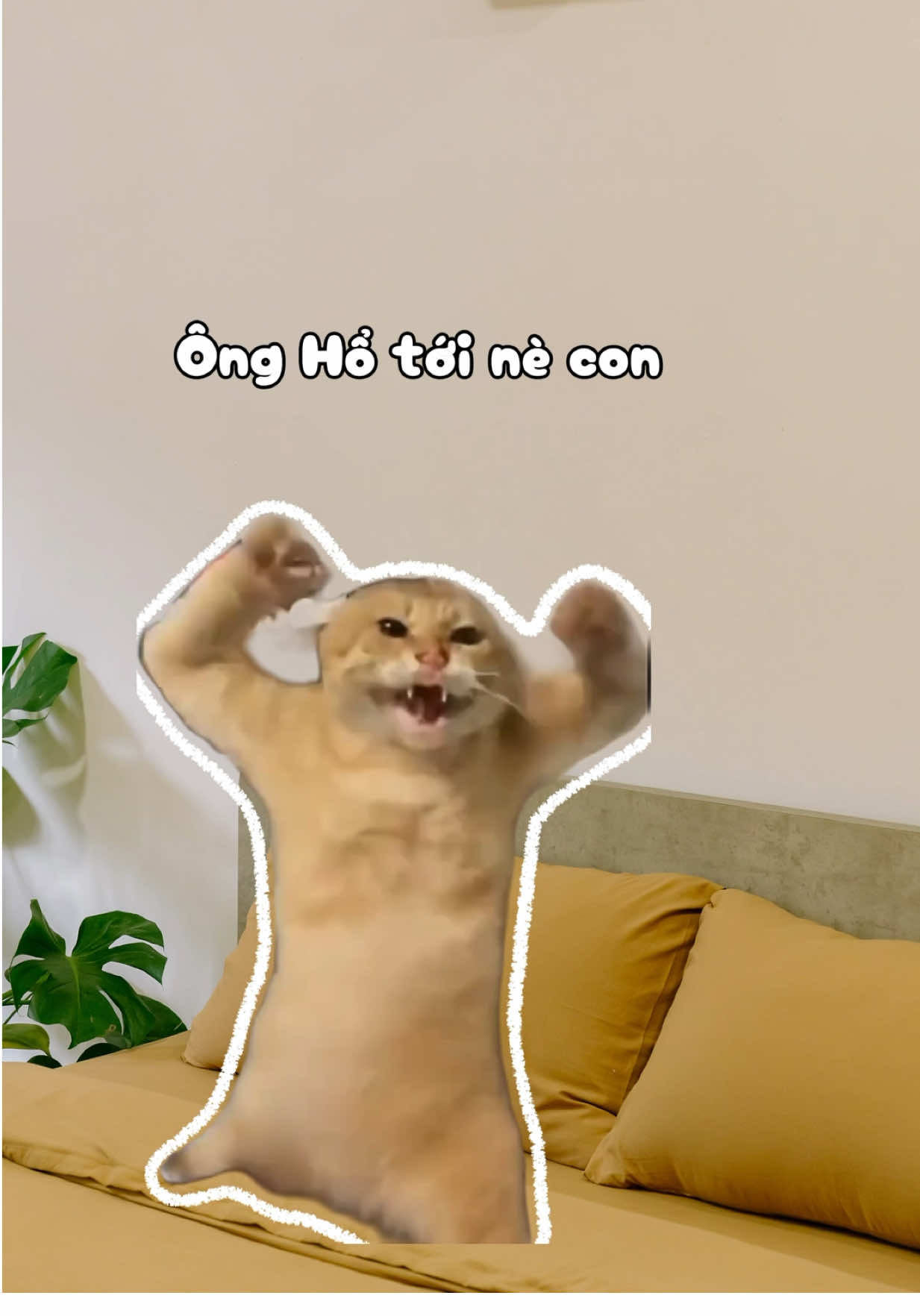 Đụng tới eny 1 cái là ông Hổ xuất hiện liền 😤 #havenroom #havenroomhomestay #staycation #homestaychothuegio #funny 