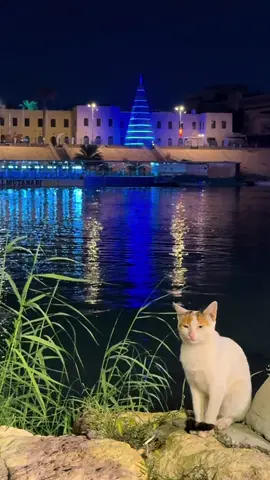 نهر دجلة ليلا بغداد  #بغداد #العراق #baghdad #iraq #نهر_دجلة 