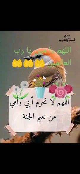 #اللهم_صلي_على_نبينا_محمد #اللهم_صلي_على_نبينا_محمد #اللهمءامين#اللهمءامين_يارب_العلمين🤲🤲🤲 #اللهمءامين🤲🤲 #اللهمءامين #اللهم_صلي_على_نبينا_محمد #اللهم_صلي_على_نبينا_محمد