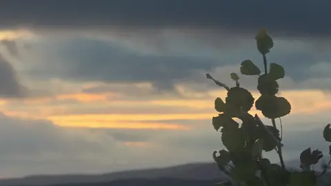 sun #sun #sky #sunset #sunrise #облака 