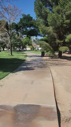 I went to the Desert Bloom Park with the dogs yesterday and they enjoyed themselves #desertbloompark #Park #lasvegas #englishbulldogs 