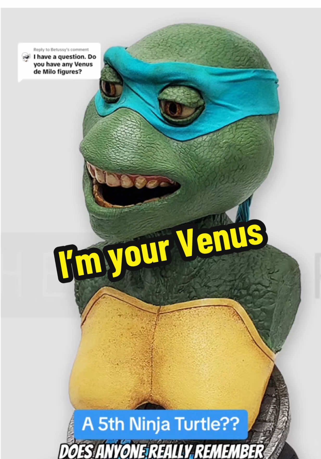 I’m your Venus, I’m your fire! 🔥 Does anyone remember owning TMNT toys from the Next Mutation series? What do you think of Venus? #tmnt #toys #collection #nostalgia #actionfigures 