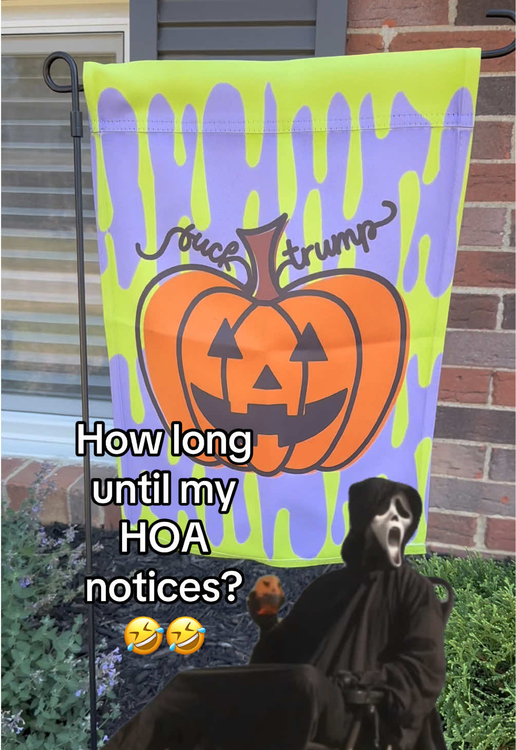 This outta spook them! ☠️🤣 #halloweendecorations #hiddenmessage #subtle #isithalloweenyet #gardenflag 