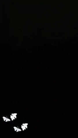 #CapCut 