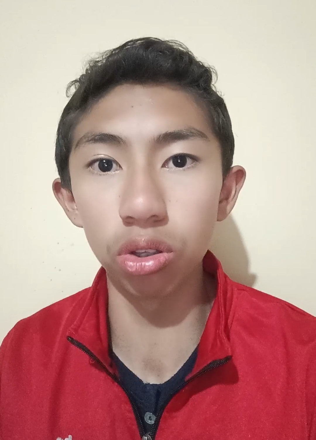 Es la parte 1 #domingosavio #fernanfloo @Gabriel66!! @Gabriel66🥷 @Elian Rios