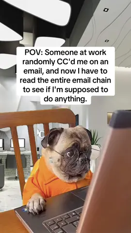 Reading 47 emails just to find out: ‘No action required from your side🙈🙈💀💀 #MemeCut #Meme #fypシ #fyp #email 