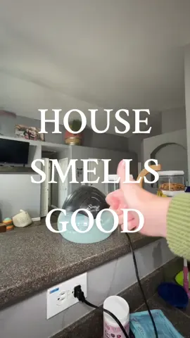 I will shout about this air purifier until I can shout no more 😂 this has saved my peace with a big family in a small house #airpurifier #cleanhouse #housesmellsamazing 