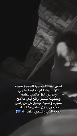 الحمدُلله الي زِرع بيه القُبول ومحبة الناس🩶.#fyp #كركوك #قطط #العراق 