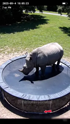 Help animals please🙏  #birds  🙀😮😮😮#ai#foryou  #animals #monkey 