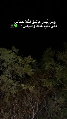 💚💚#foryou #fyp #palestine #jenin #7october🦅 