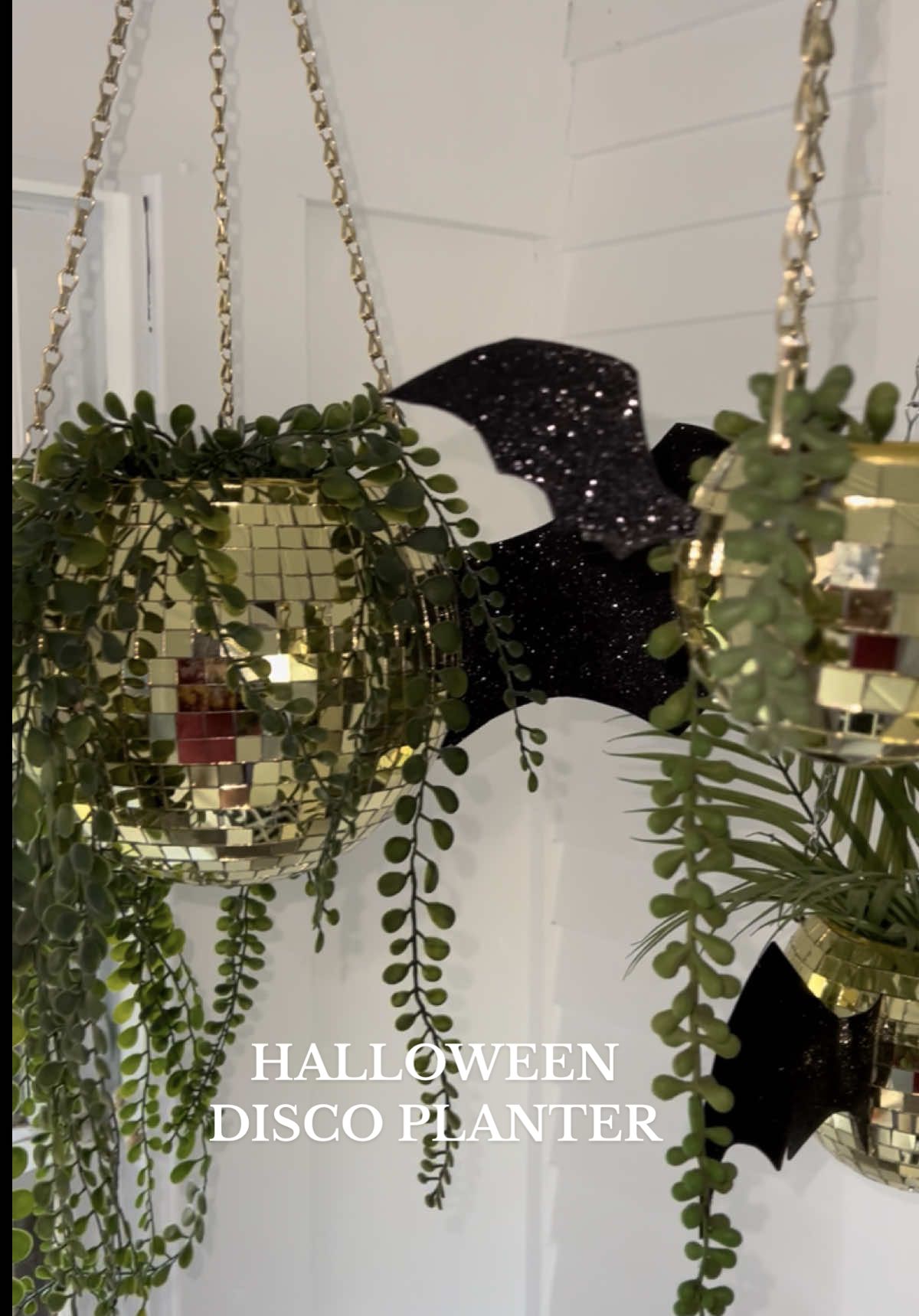 DIY Bat Disco Planters 🦇 🪩   #halloween #halloweendiy #halloweendecor #discoplanter 