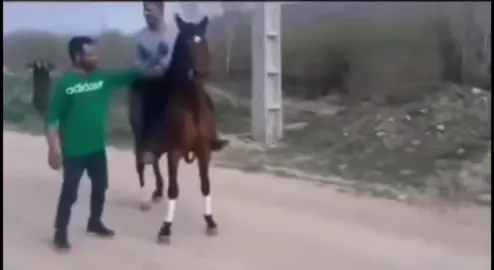 اسب أصیل ایران(امازون رستاک)🤎ماشااللە#horse #ئەسپ #fyp #foryou #foryoupage 