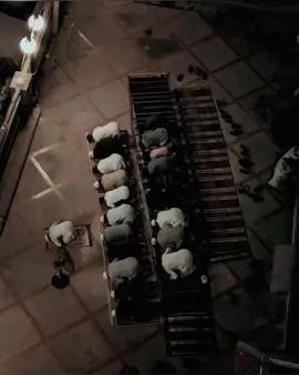 …🦋😍#گوهداربـــــــــــــە😇 #foryoupage #tiktok #CapCut #الشعب_الصيني_ماله_حل😂😂 