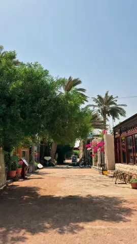 How 9AM in Dahab looks like… #fy #fyp #dahab #egypt #travel 