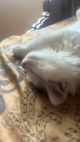 HE LIKES DIGS 🪏🥹