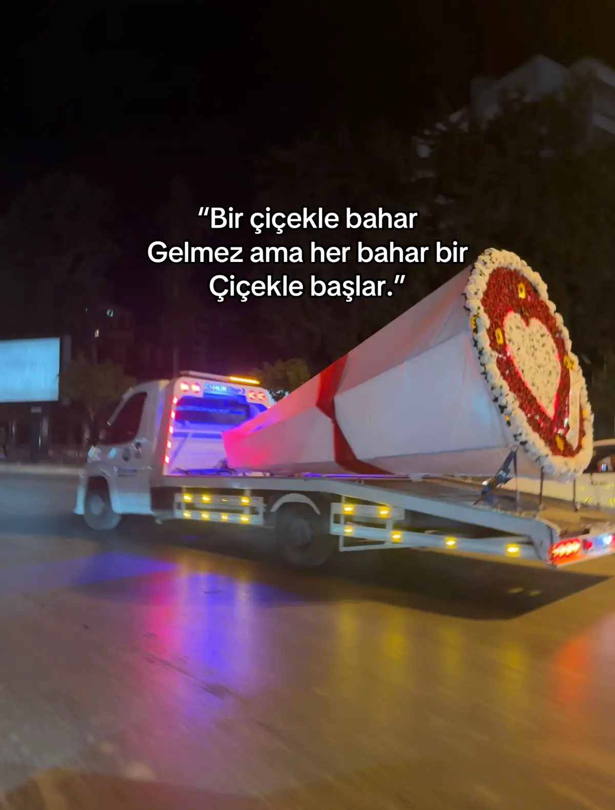 💐 #fyppppppppppppppppppppppp #çiçek #keşfetbeniöneçıkart #goviral #shark 