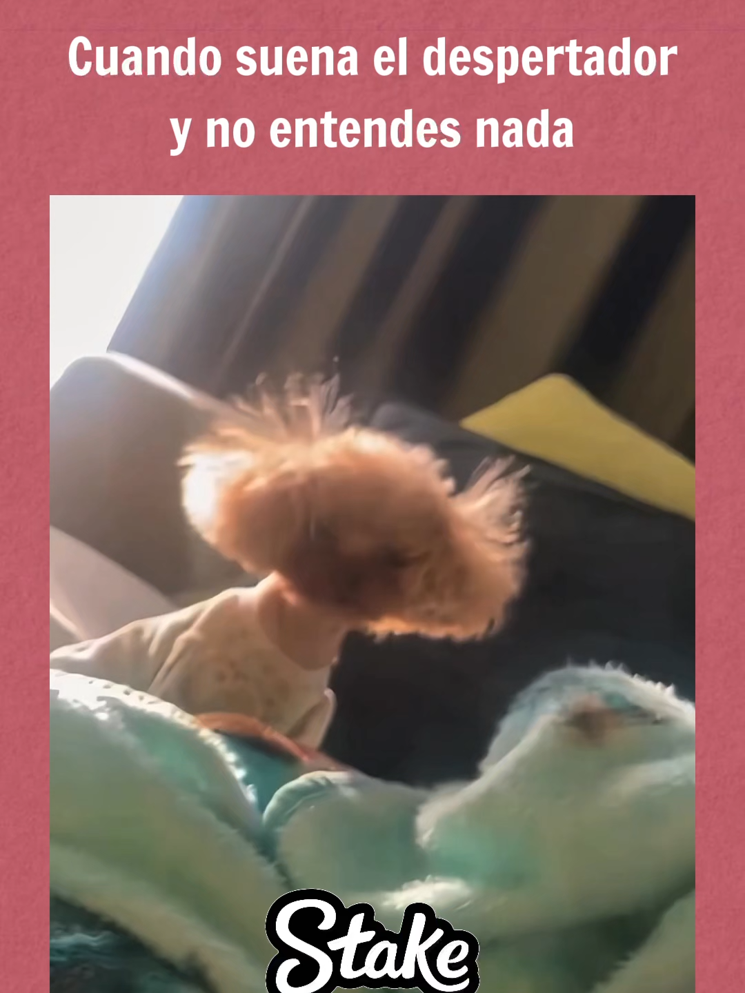 Cuando suena el despertador