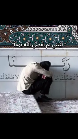 يا ليتني💔.#viral #شيعة_علي_الكرار #يا_علي #CapCut #علي_بن_ابي_طالب 