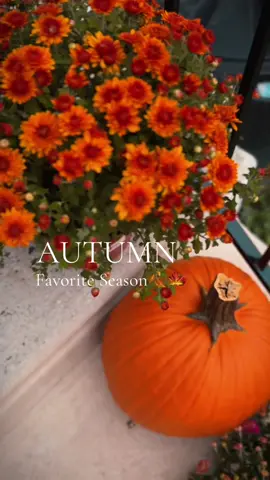 #CapCut my favorite season FALL #fall #autum 