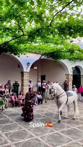 ✨ Barcelona: Gaudí, beaches, tapas 🌊🏙️ 💃 Flamenco: passion, guitar, dance 🔥🎶 Spain in all its magic 🇪🇸 #barcelona #barselona #spain #espana #espanha 
