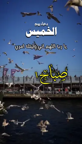 دعاء الصباح اللهم إني أسألك الثبات في الأمر  وأسألك العزيمة على الرشد وأسألك شكر نعمتك وحسن عبادتك  وأسألك قلبا سليما ولسانا صادقا وأسألك من خير ما تعلم وأعوذ بك من شر ما تعلم وأستغفرك لما تعلم، إنك أنت علام الغيوب #صباحكم_أحلى_صباح #صباحكم_معطر_بذكر_الله #صباح_الورد #صباح_الخير #صبحكم_الله_بالايمان_وطاعة_الرحمن 
