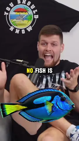 Are fish animals#yskpodcast #youshouldknow #funny_video #fish 