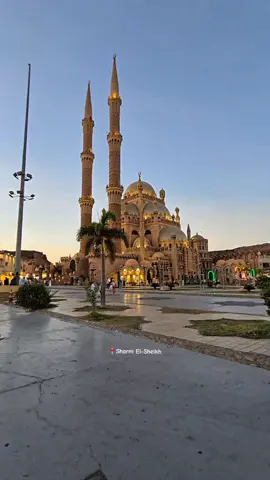 Old market Sharm El-Sheikh ❤️ #sharmelsheikh #МореИПриключения #ШармЭльШейх ##sharmelsheikh #شرم_الشيخ 