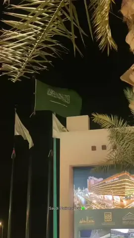 رفرف يالاخضر💚💚 #اليوم_الوطني #مكة #حي_حراء #السعودية #شموخ_علي 