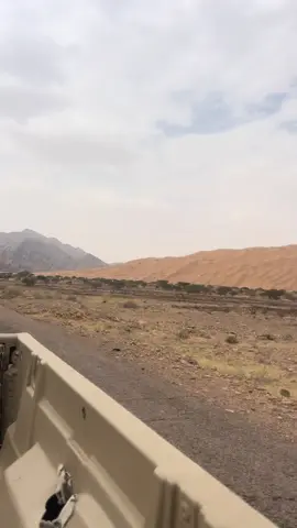 #تصويري_احترافي_الاجواء👌🏻🕊😴 