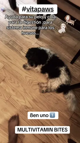 #dogsoftiktok #dogcare #dogvitamins #bites #tiktokshop 