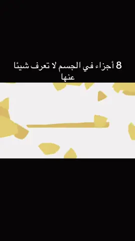 8# أجزاء في الجسم لا تعرف شيئا عنها