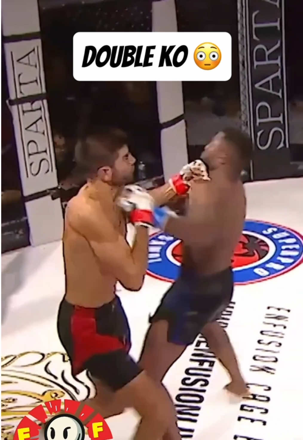 A very rare double KO 👀 #mma #doubleko #rare #mmahighlight #fyp 