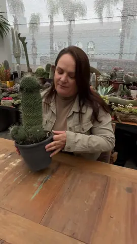 #stitch with @VandoeFabi #comedian#explorepage#blowthisup#goviral