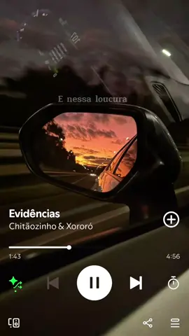 Evidências - Chitãozinho & Xororó #sertanejo #modao #tiktok #status #ForYou 