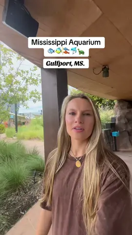 Come tour the @Mississippi Aquarium with me 🐟🐠🎏🐢🦦🐬 #aquarium #mississippi #familyday #dolphins #gulfportmississippi 