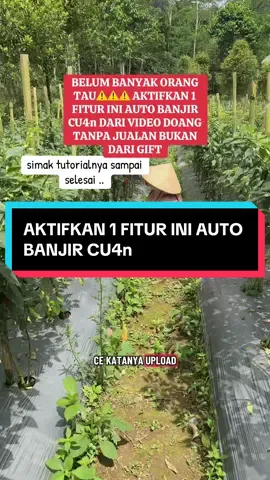 belum banyak orang yang tau!! aktifkan 1 fitur ini auto banjir cu4n lewat video bukan dari keranjang bukan dari gift #ceunita #penghasilantiktok #saldotiktok 